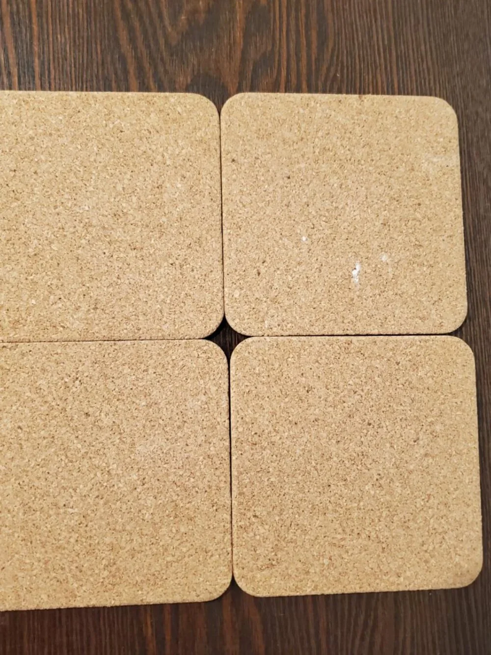 Aynsley Garden Coasters Acrylic Cork Back Square Planter Flower Set of 4 England